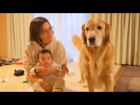 赤ちゃんと距離を置いてた愛犬が少し近づいて来てくれた日