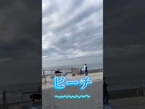 マック江ノ島店は海が見えないけど…#海沿いマック #マック江ノ島 #cafe