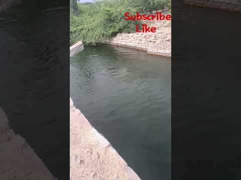 swimming time in village #subscribe #tranding #trendingshorts