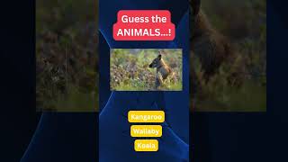 Guess the Animals: 52🐶🐱 Test Your Knowledge! 🧠🤯 #AnimalChallenge #TriviaTime #WildlifeGuessingGame