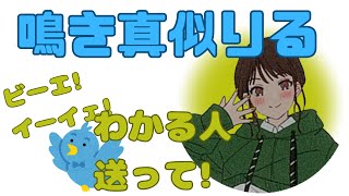 【字幕付】ともりるの謎鳥の鳴き真似【楠木ともりのこと。第6回切り抜き】