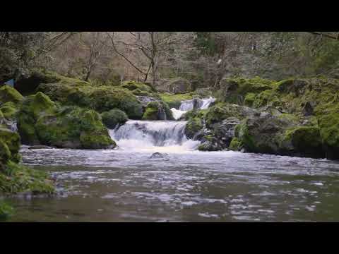 岐阜県山県市円原の冬の美しい川 - One of Japan's Most Beautiful Rivers in Winter, Yamagata City, Gifu Prefecture.