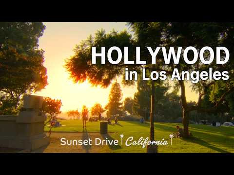 Driving Hollywood to Downtown Los Angeles: Sunset Finale