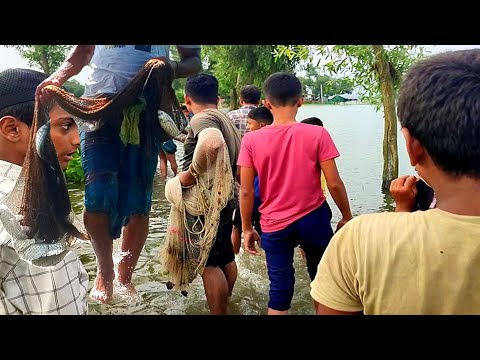 গ্রামে রাস্তায় মাছ ধরার ধুম | Amazing catching fish in the rod #fish #fishing #netfishing