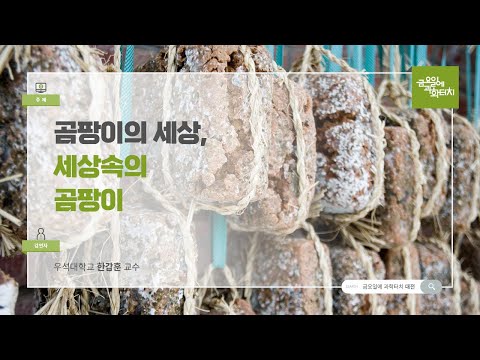 24.08.30 금요일에 과학터치(대전) - 곰팡이의 세상, 세상속의 곰팡이