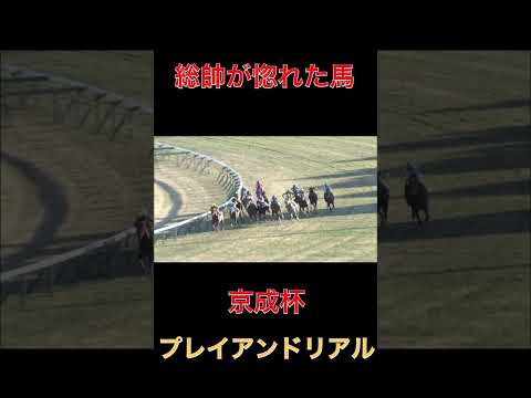 総帥が惚れた馬プレイアンドリアル【京成杯】#競馬#京成杯