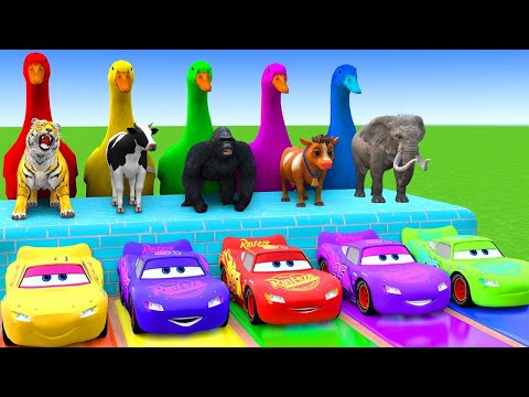 5 Giant Duck Cartoon_Cow_Elephant_Tiger_Lion_Dinosaur_Paint Wild Animals Crossing Fountain Animation