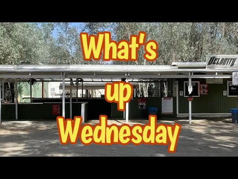 What’s up Wednesday 10/23/24