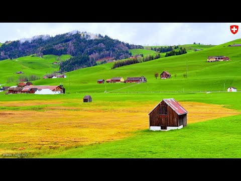 Discover the SECRET to Switzerland's Most Charming Village Appenzell! 🇨🇭