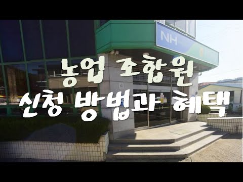 농협조합원 신청방법과 자격 및 혜택