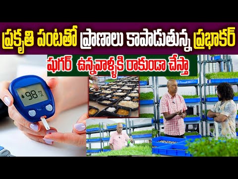 Nature Mantra Diet: ప్రకృతి పంటతో ప్రాణాలు కాపాడుతున్న ప్రభాకర్  | T Prabhakar Founder | NN MEDIA