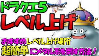 【ドラクエ5 スマホ】おすすめのレベル上げ場所・方法！厳選特集！