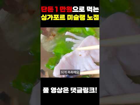 단돈 1만원으로 먹는 싱가포르 미슐랭 맛집