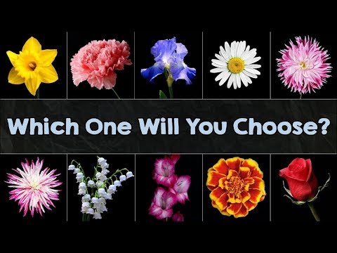 The Flower You Pick Will Reveal Your True Personality