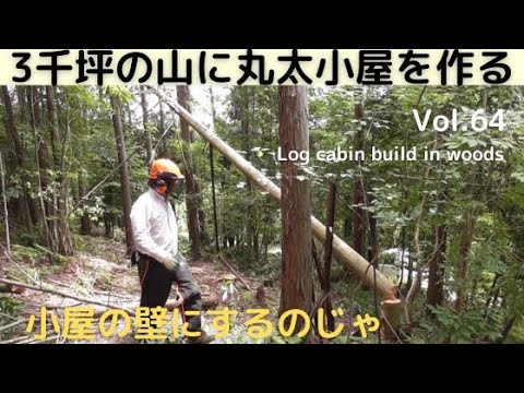 山を開拓して丸太小屋を作る Vol. 64 最後の丸太積みじゃ