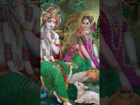 Radha krishna ka pyar #krishnastatus #radheradhe #shortvideo #shortvideo #viralvideo #iskcon #viral