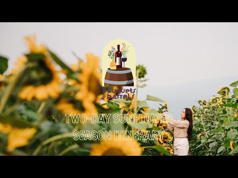 Two-Day Sunflower Season Itinerary | Bouquets & Barrels