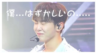 照れ続けるスングァンちゃんのかわいさ耐久動画 【SEVENTEEN/スングァン/日本語字幕】