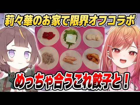 【オフコラボ】莉々華×アーニャの限界餃子パーティでまさかの食材が高評価!?【ホロライブID切り抜き/一条莉々華/アーニャ・メルフィッサ/日本語翻訳】