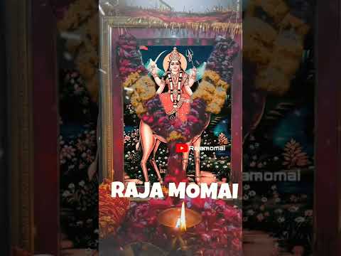 momai maa  || RAJAMOMI new status