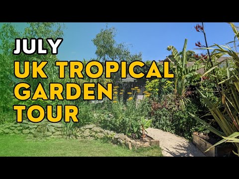 🌴 Tropical Oasis in the UK | Summer Garden Tour July 2023