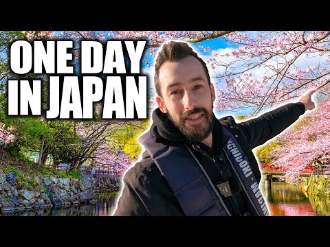 Tokyo's Sakura View You Probably CAN'T See... So I Did It For You!!!  | Travel Japan 2023