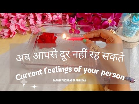 current feelings of your person #tarot #current #yourlife #yt #tarotreader #youtube