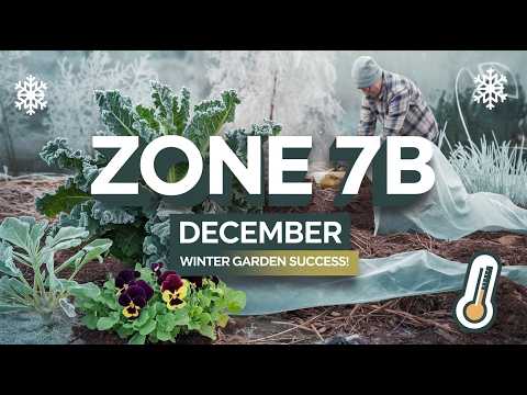 December Gardening Tips for Zone 7b Winter Care and Frost Protection