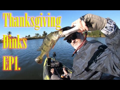 **"Chasing Giants: Thanksgiving Dinks Day 1