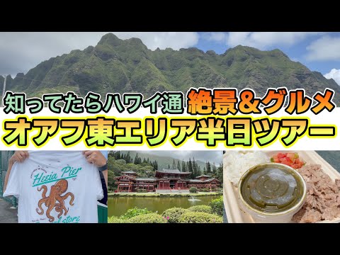 【オアフ島東側ツアー】知ってたらハワイ通！絶景&グルメの半日ツアー！伝統のハワイアン料理に舌鼓を無駄に4Kでお届けの回！！