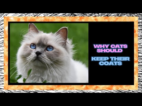 Why Cats Should Keep Their Coats: Fascinating Facts You Need to Know!