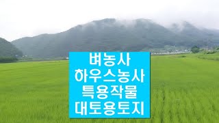 답 1,214평 평당11만원 벼,하우스,특용작물,대토용토지