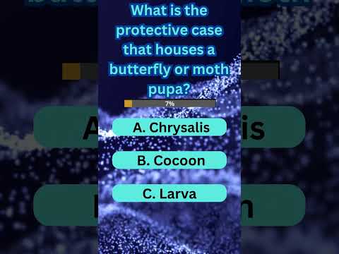 Epic Insect Quiz Challenge! Part 10 #viral #quiz #trending #shorts