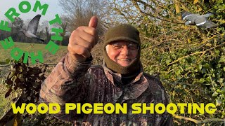 WOOD PIGEON SHOOTING - FROM THE HIDE - EPISODE 14