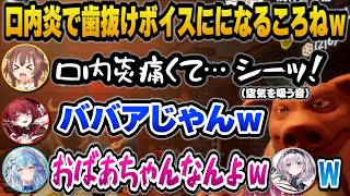 口内炎のせいで歯抜けボイスになるころねに爆笑するマリン船長とラミィと団長ｗ【ホロライブ切り抜き/宝鐘マリン/戌神ころね/白銀ノエル/雪花ラミィ】