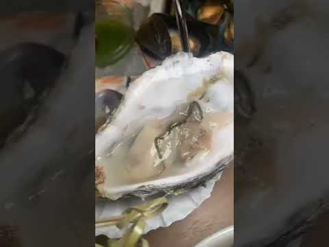 London’s best seafood !!! The Seafood Bar - soho London