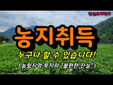 농지취득 누구나 할 수 있습니다(농림지역 토지의 불편한 진실) / 정선토지박사