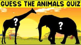 24 Hours to Become an Animal Quiz Master!