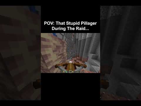 POV: That Stupid Pillager During The Raid...