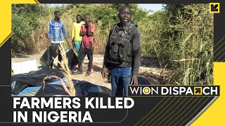 Nigeria: 40 Farmers Killed By Boko Haram Militants In Northeast Nigeria | WION Dispatch