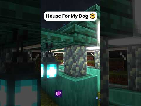 Minecraft House for my Dog 🥺 #shorts