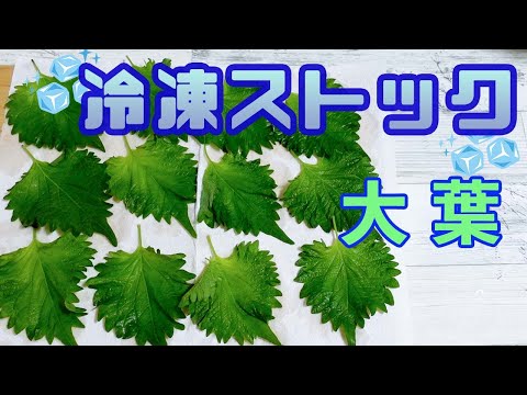 【冷凍保存／大葉編】超簡単！時短料理に活用！無駄のない生活