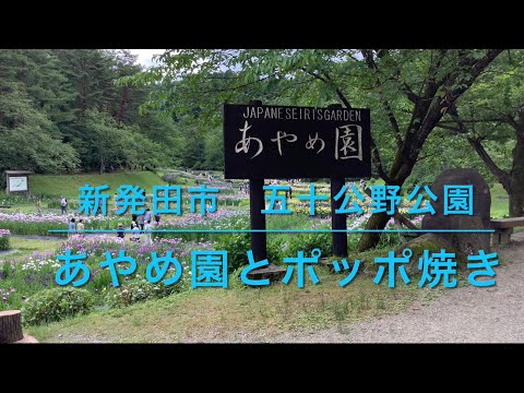 新潟のおすすめ観光スポット　新発田市五十公野公園　あやめ園とポッポ焼き