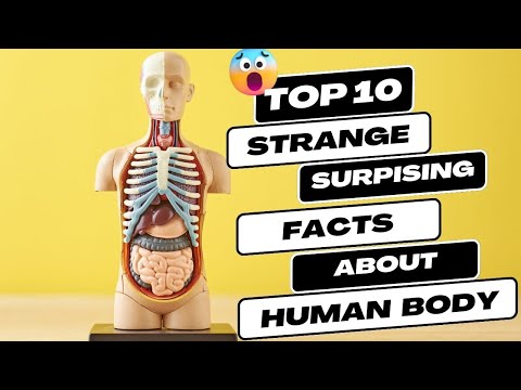 10 Human Body Facts That Will Make You Say "WOW"!