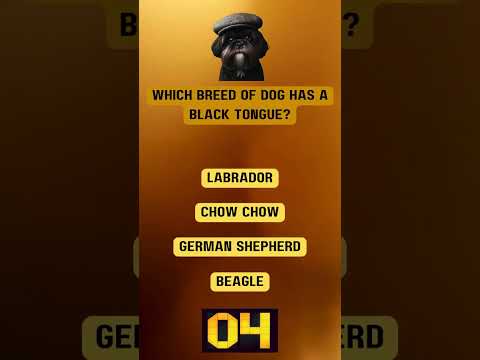 Which breed of dog has a black Tongue?