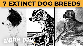 7 Extinct Dog Breeds You Didn't Know Existed