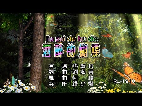 孫藝琪 | 酒醉的蝴蝶 | (DJ版) | (1080P)KTV