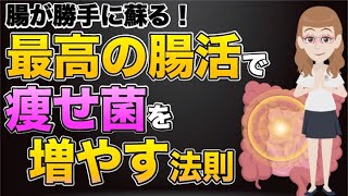 【腸が勝手に蘇る！最高の腸活で痩せ菌を増やす法則】について現役医師が分かりやすく解説します