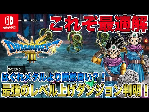 【ドラクエ3 リメイク】これぞ最適解！最強のレベル上げダンジョンが新たに判明！はぐれメタルよりも良い？！【HD-2D】【ドラゴンクエストⅢ そして伝説へ】