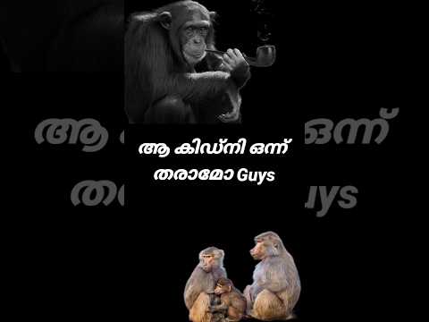 കിഡ്നി ബിസിനസുമായി കുറച്ച് പേർ എത്തിയിട്ടുണ്ട് #shortsvideo #shorts #shortsfeed #shortsviral